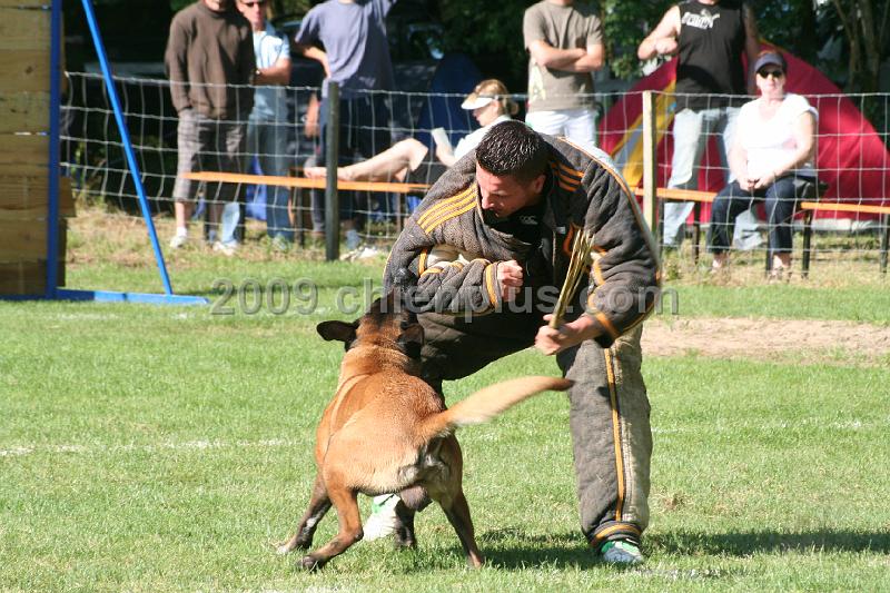 Twisty des Loups Mutins (21).jpg